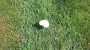 DJI_20250726100747_0013_D.jpeg