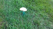 DJI_20250726193228_0024_D.JPG